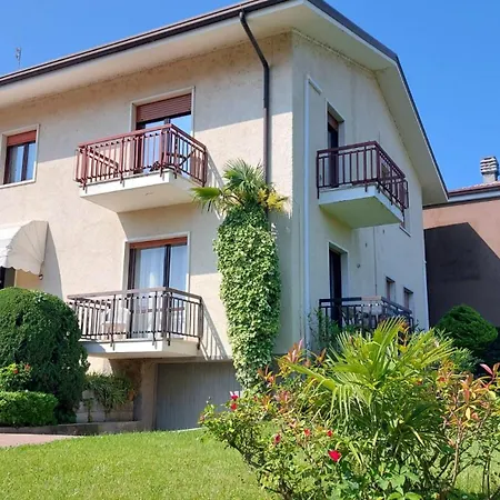 Primula - A 50 M Dal Lazise